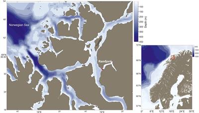 Seasonal Variability in the Zooplankton Community Structure in a Sub-Arctic Fjord as Revealed by Morphological and Molecular Approaches